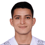 Yeltzin Hernán Erique Villigua